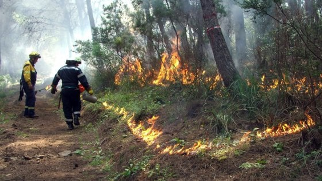 Dichiarazione stato massima pericolosità per incendi boschivi - DA 21 LUGLIO